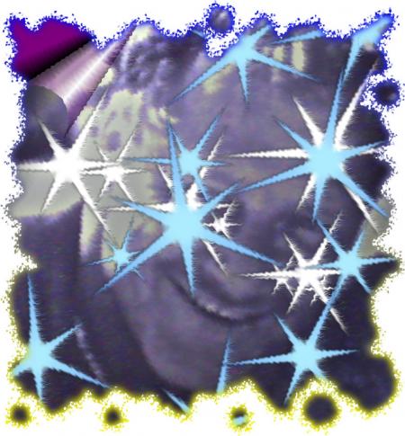bobiblog