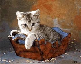 chat va
